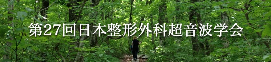 鳥海山ブナの原生林